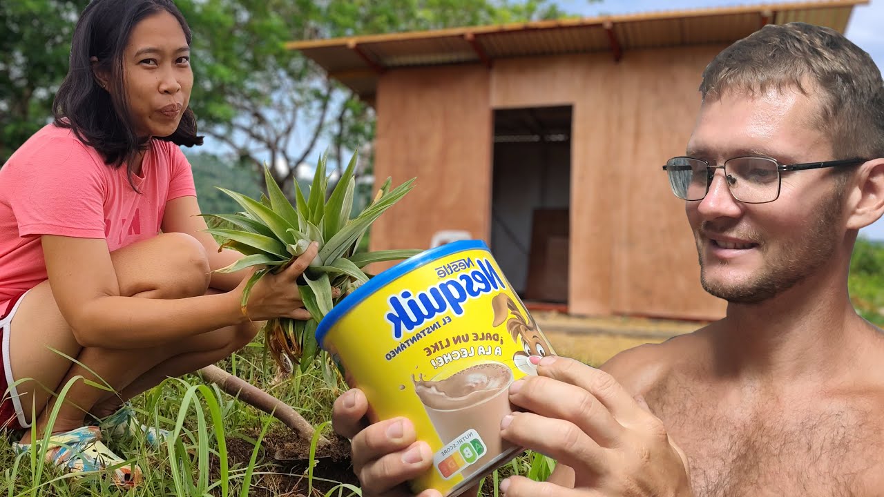 Planted pineapple, corn and araucaria  | Power interruptions destroyed some of our appliances