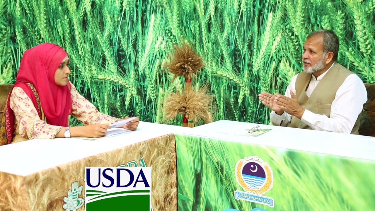 Wheat Production Plan part 1 (sowing and preparation)