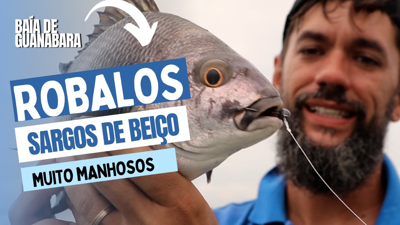 PESCARIA RÁPIDA - Baía de Guanabara | Robalos, Sargos e Xereletes. #Ep piloto