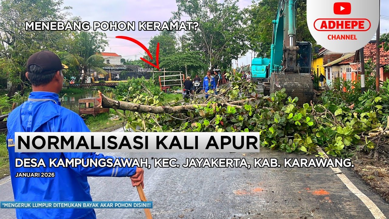 MENEBANG POHON KERAMAT? | NORMALISASI KALI APUR - KARAWANG 2026 