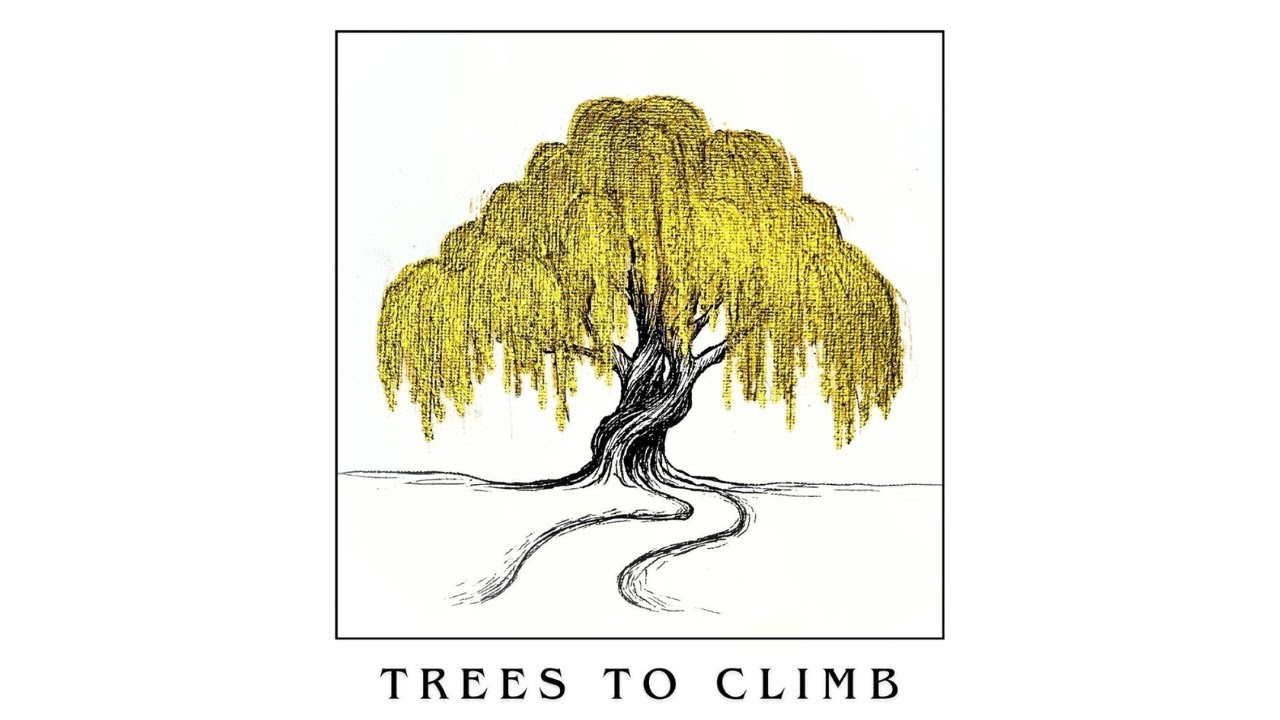 Trees to Climb- Brock Palmer [Official Lyric Video]