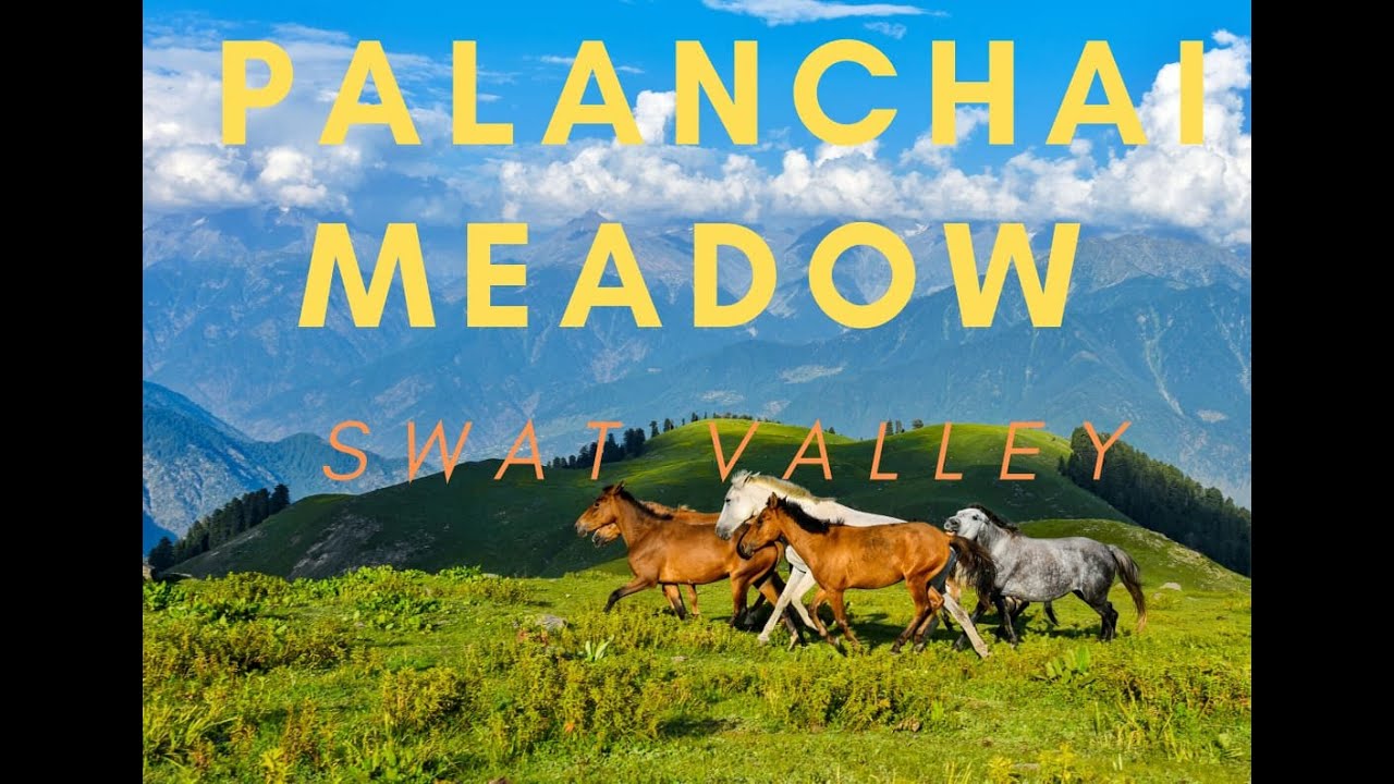 Palanchai Meadow, Behrain , Swat Valley, Pakistan.