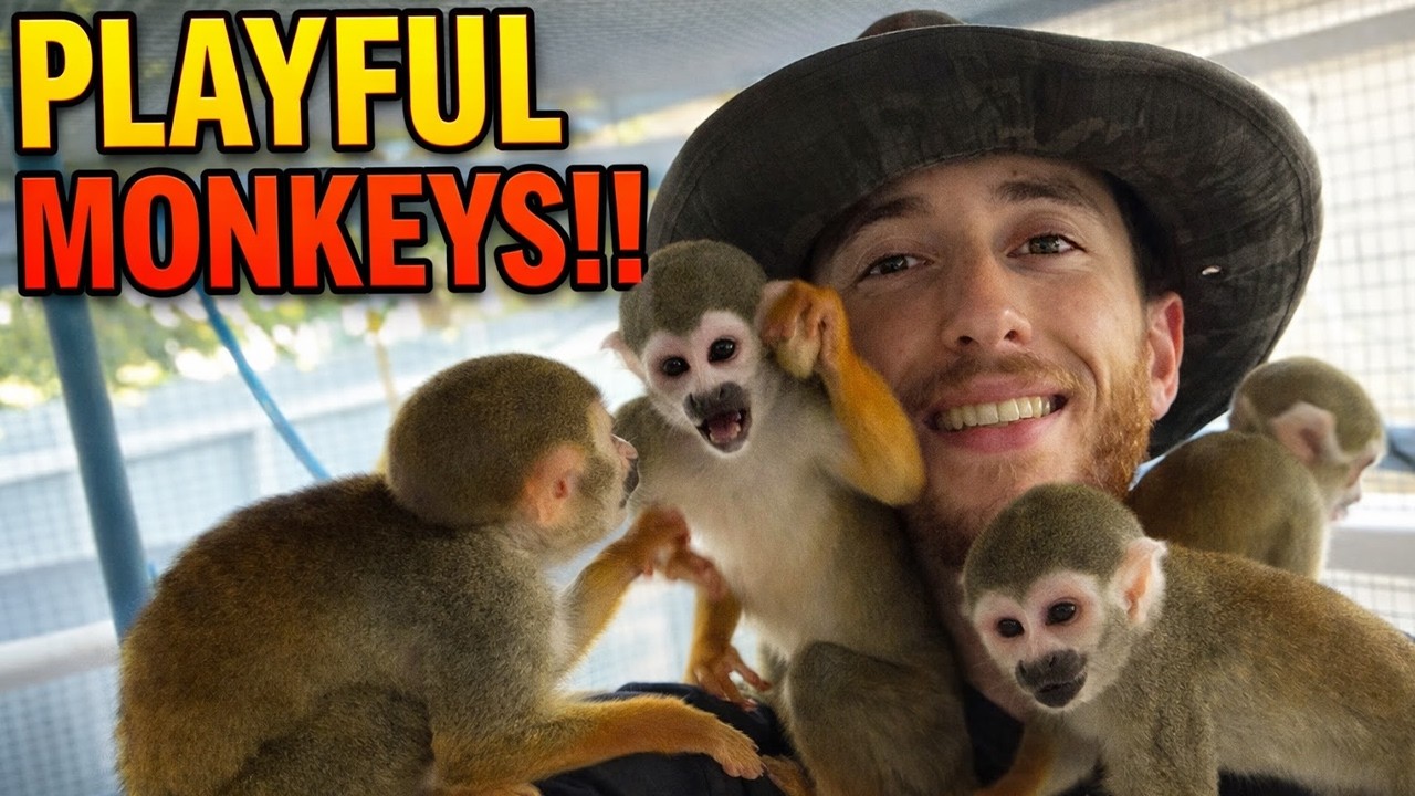 Первые выходы маленьких обезьянок на улицу — они были в ужасе!!