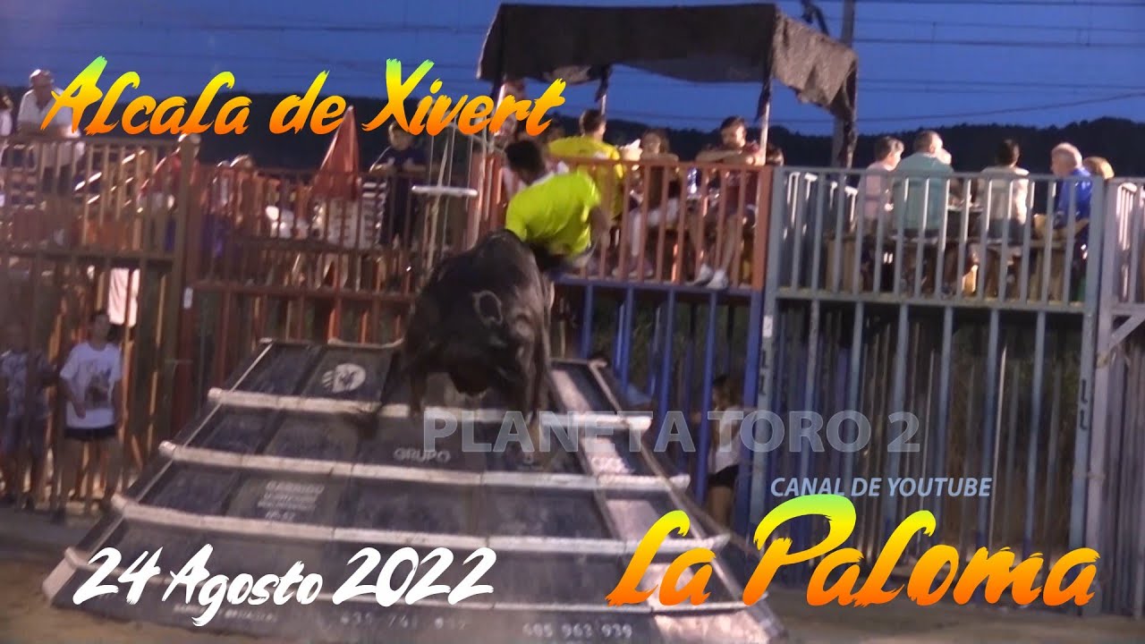 2022 08 24 ALCALA DE XIVERT LA PALOMA