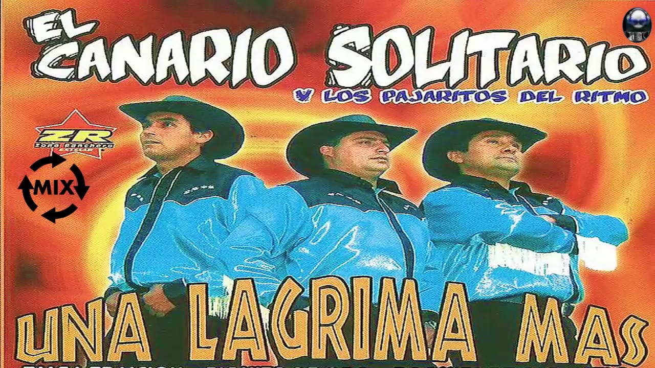 El canario solitario y Los Pajaritos del Ritmo mix Dj aleemix Bustamante 2021