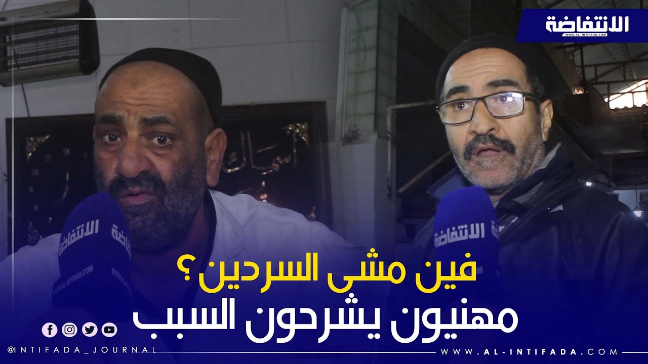 السردين يغيب عن الأسواق المغربية.. ماذا يقول المهنيون؟