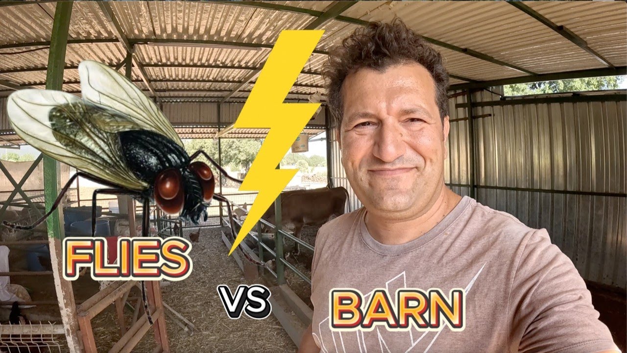 Summer Fly Invasion at the Barn! 🐄🔥 How We Deal With It