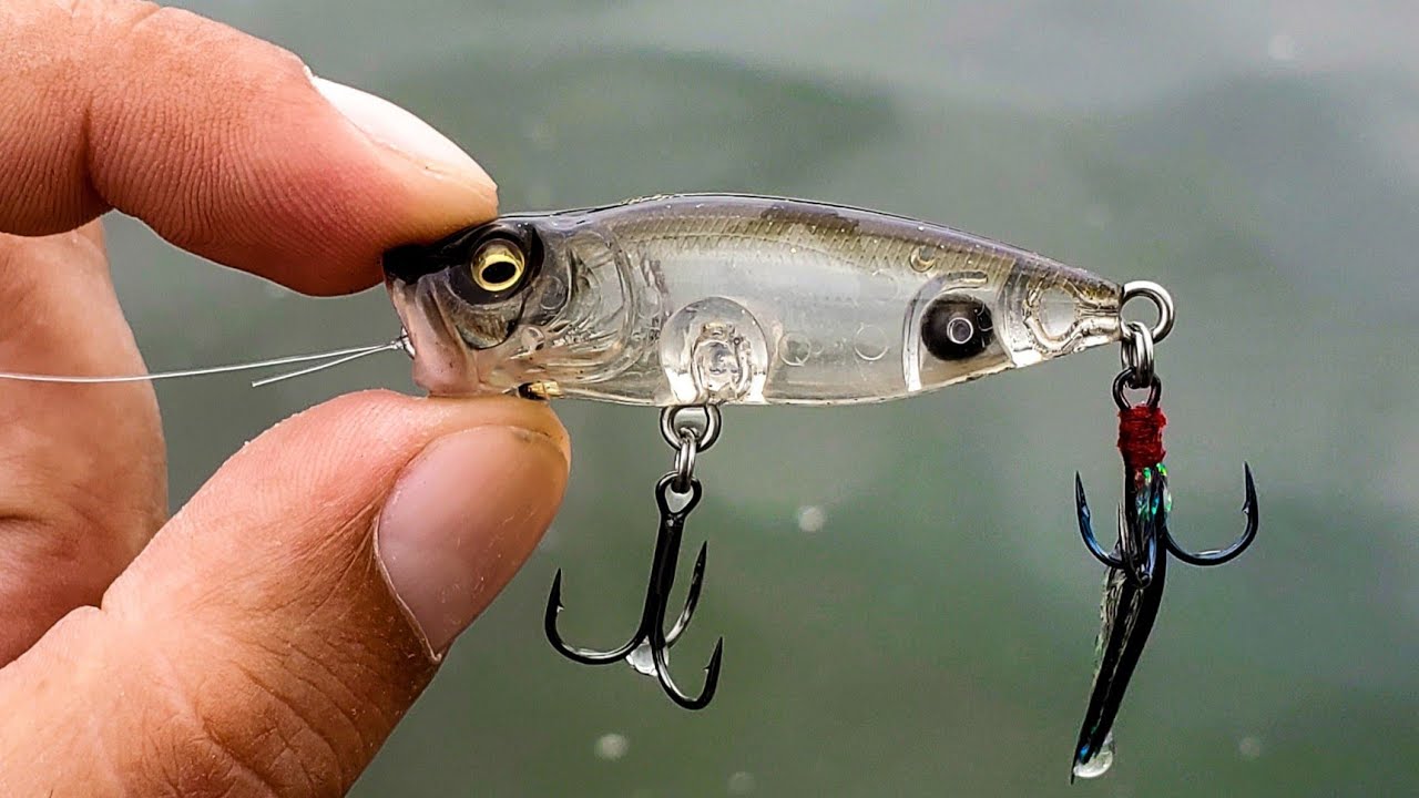 This Tiny Popper is Bass Candy (Megabass Baby Pop X)