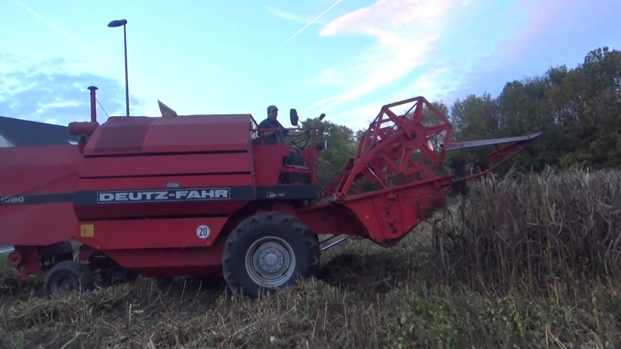 Deutz Fahr Körnermaisernte Combine Corn