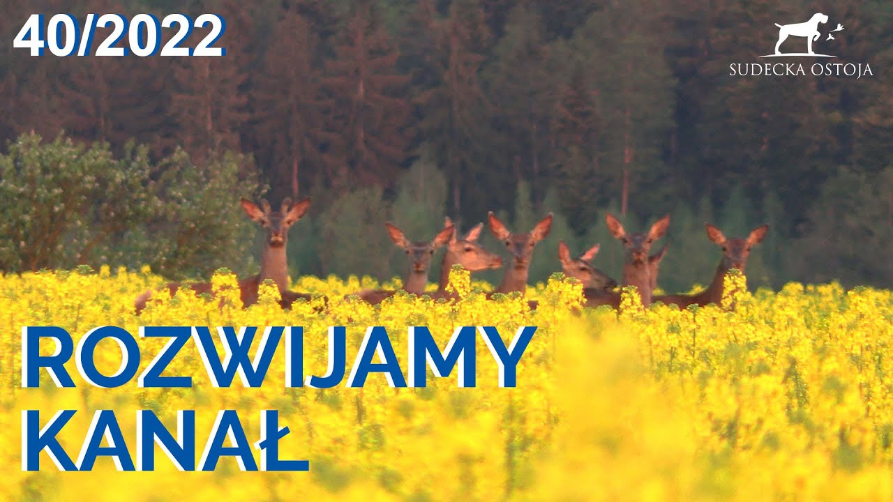 SUDECKA OSTOJA 40/2022 Rozwijamy kanał - Zbiórka - Zaproszenie do współtworzenia kanału