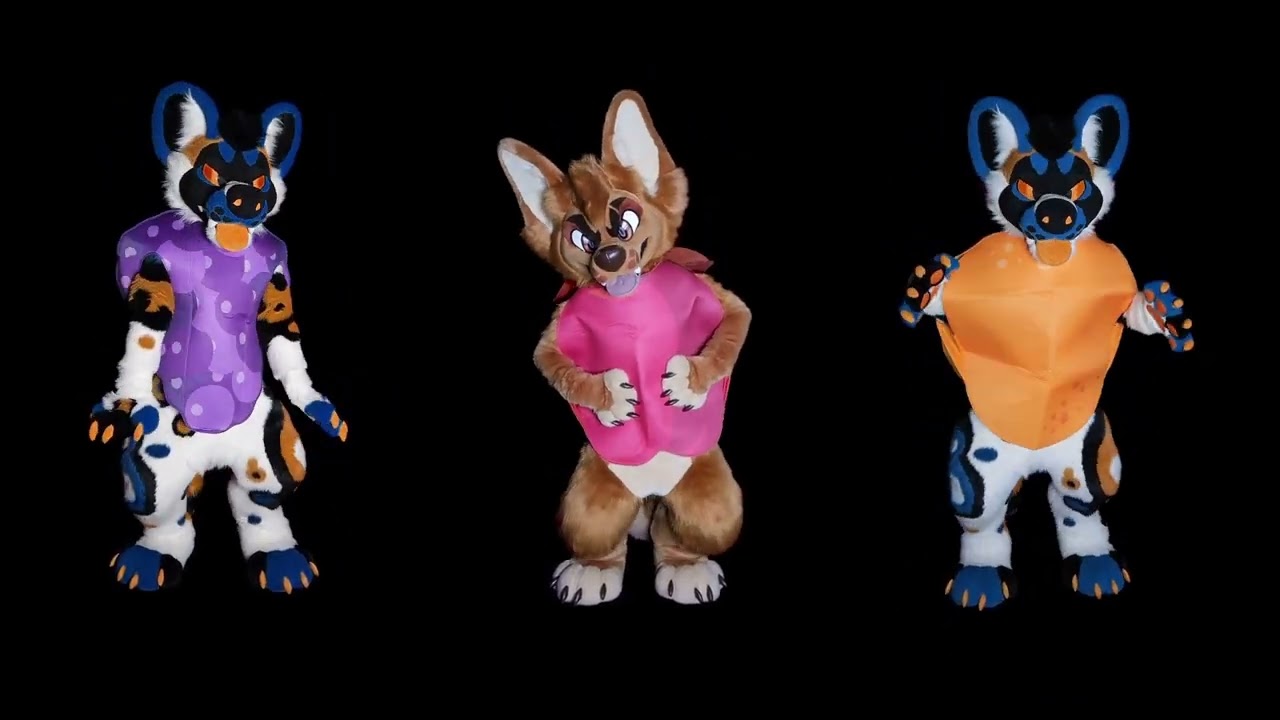 Sensory Video For Fussy Furries