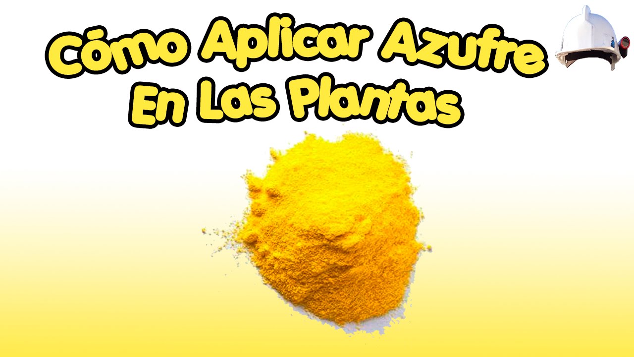 Cómo aplicar Azufre en las plantas