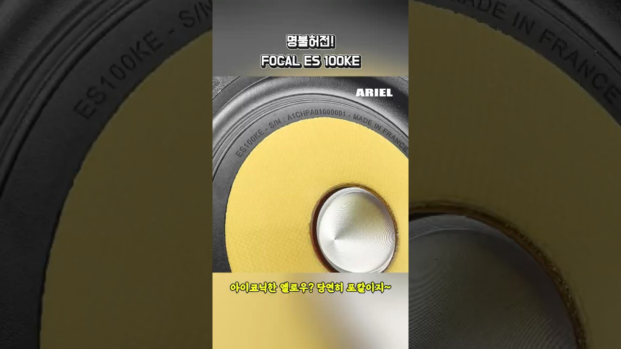 역시 EVOLUTION! FOCAL ES 100KE 작은 크기 큰 감동📣
