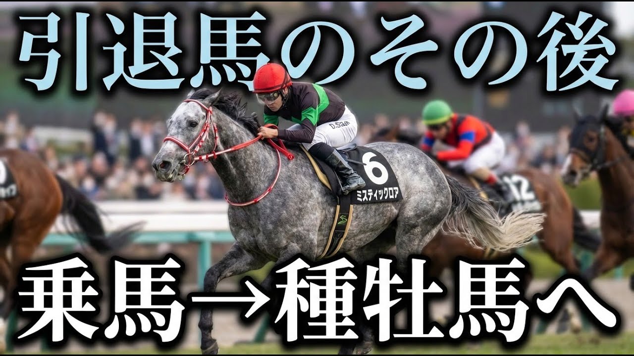 【一口馬主】出資馬初の種牡馬誕生!!乗馬から一転、ミスティックロアがアロースタッドで種牡馬入りへ！