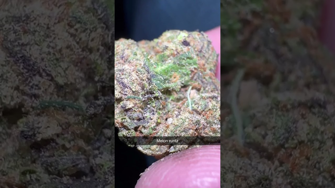 Melon runtz lit farms essentials