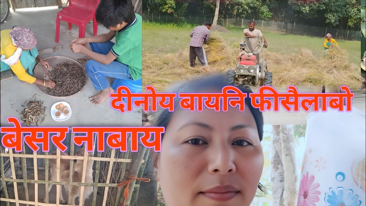 Lwo jwng dao jwng dinwi