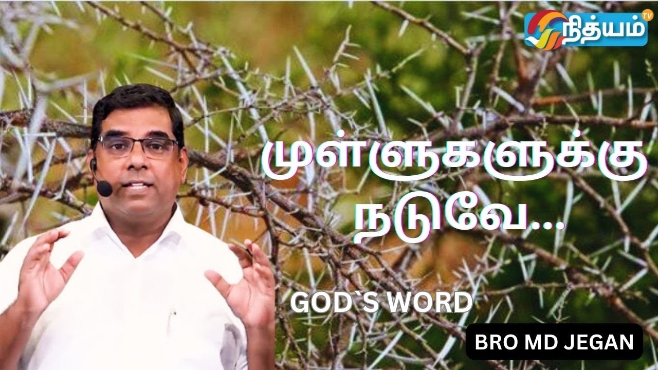 SPECIAL MESSAGE  முள்ளுகளுக்கு நடுவே...  || BRO MD JEGAN || #mdjegan #joy #nithyamtv #godsword