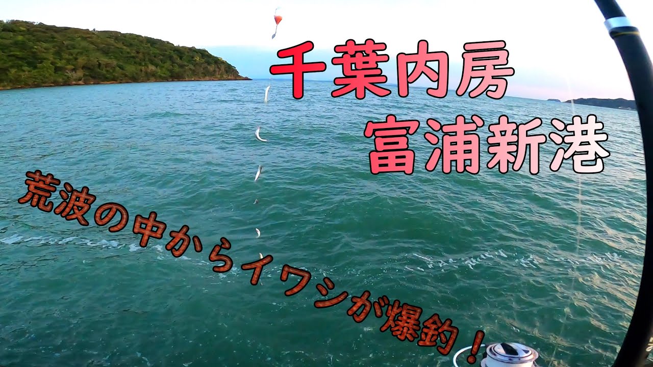 【2週連続富浦新港】荒波の中からイワシが爆釣！後編【海釣り】