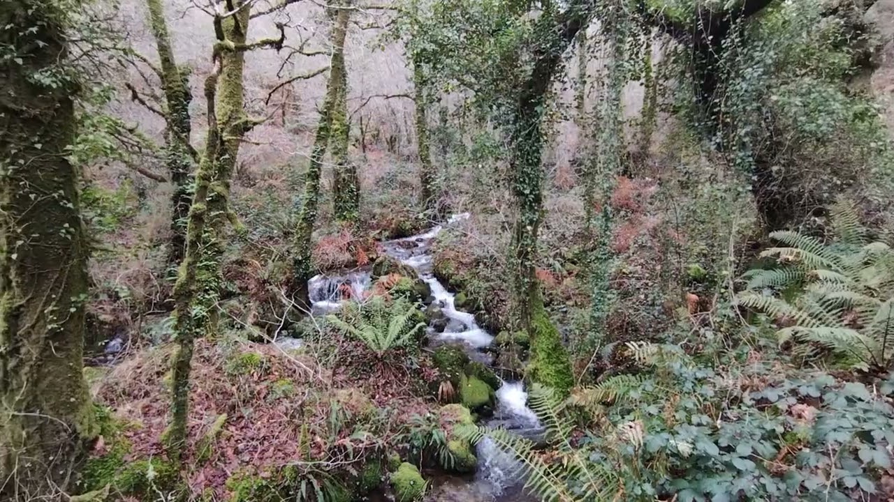 Senda Ponte de Ramo (concello de Cuntis)