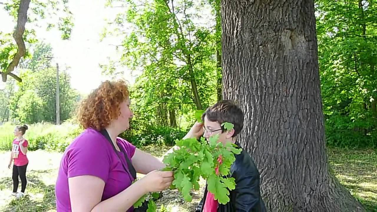 Czech Tree of the Year 2014 Day 1 Tree 2 Horky nad Jizerou Dub (Oak)
