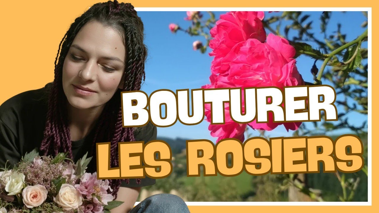 👩‍🌾 Je fais des boutures de rosiers en bouteilles (à l'étouffée)