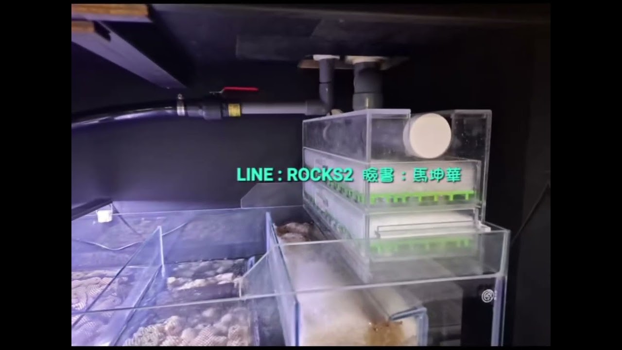 底濾系統／乾濕分離／底部過濾系統／魚缸過濾