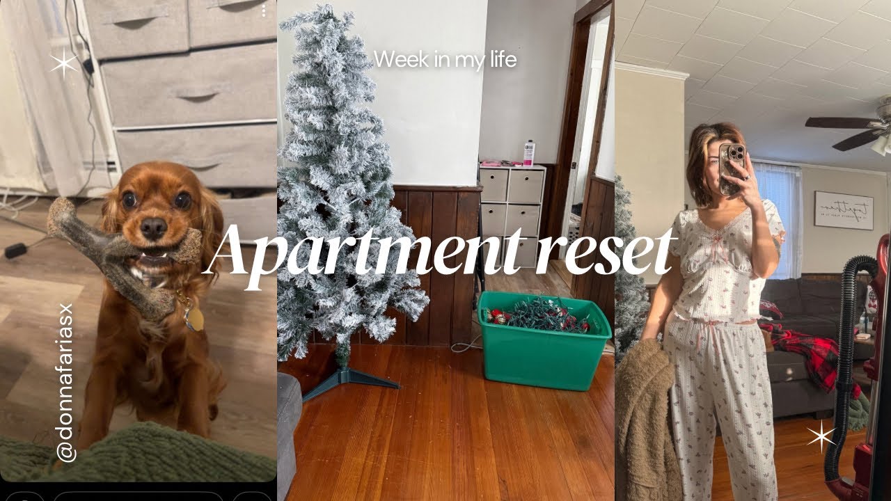 Bedroom Reset | Newly Wed series