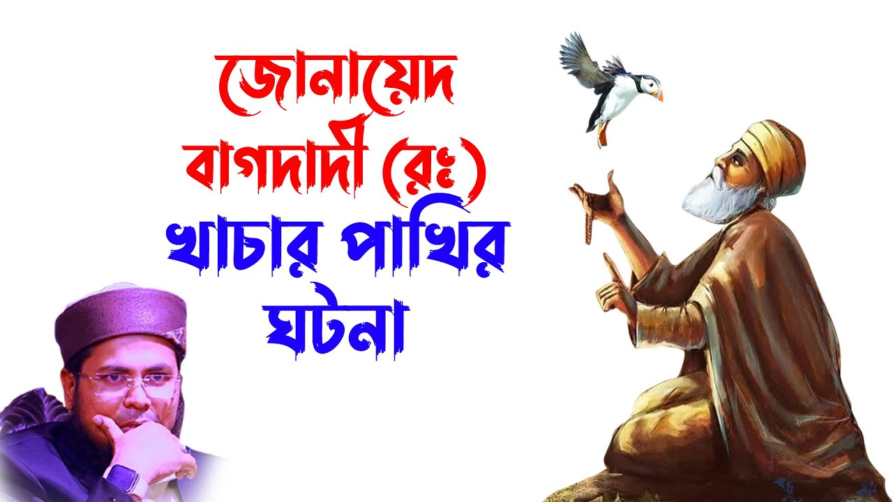 দেলোয়ার হোসেন তাহেরপুরী | Mufti Delwar Hossain Taherpuri | Taherpuri waz | জোনায়েদ বাগদাদী ও পাখি