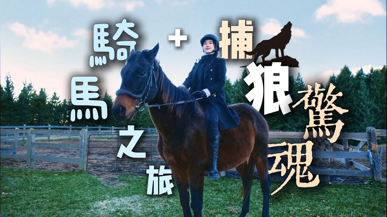 🐴 从骑马之旅到捕狼惊魂，这趟旅程太刺激！🐴 From Horseback Riding to a Wolf Hunt—What an Epic Adventure!