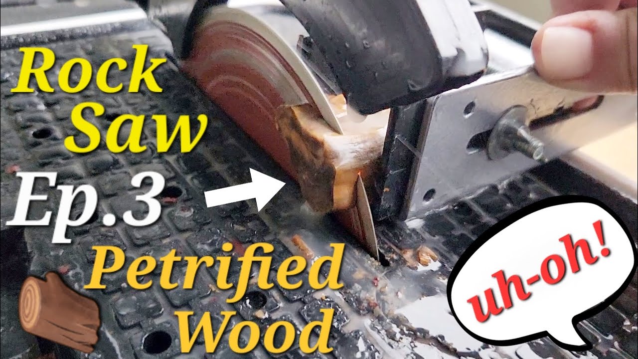 Rock Saw Ep. 3 - Petrified Wood, Cutting Slabs on our 6