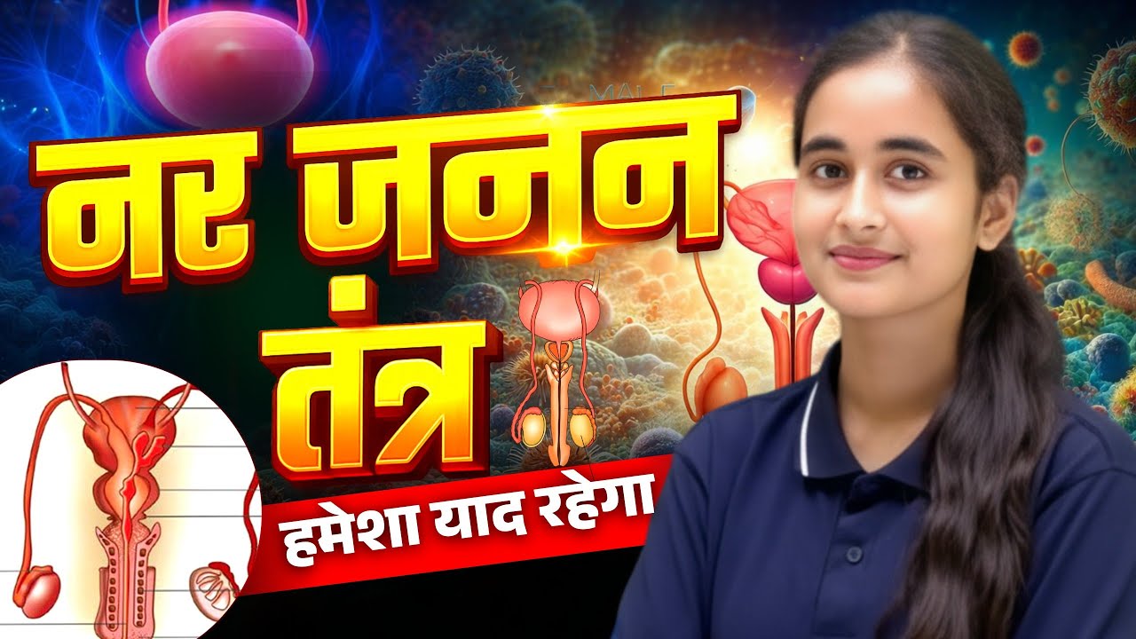 पुरुष प्रजनन तंत्र || सबसे आसान भाषा मे समझे || Board Exam 2027