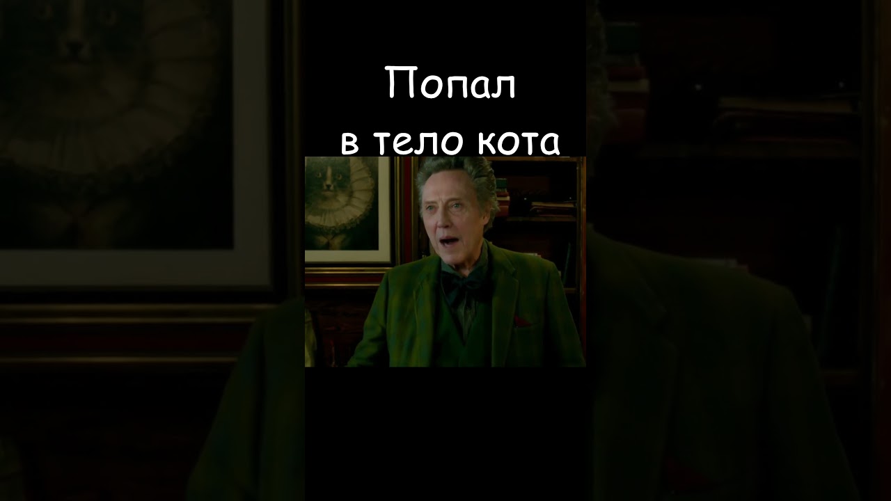 Девять жизней 🐾   