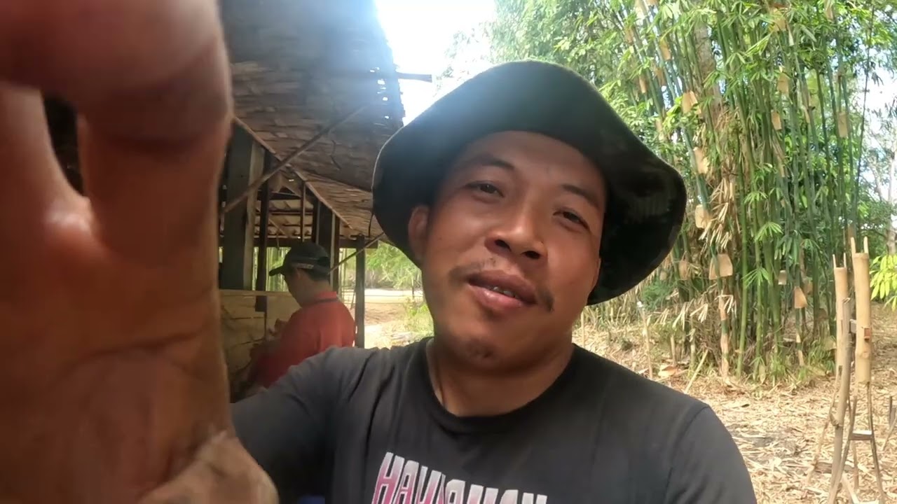 วิทีภูไท ตอนที1
