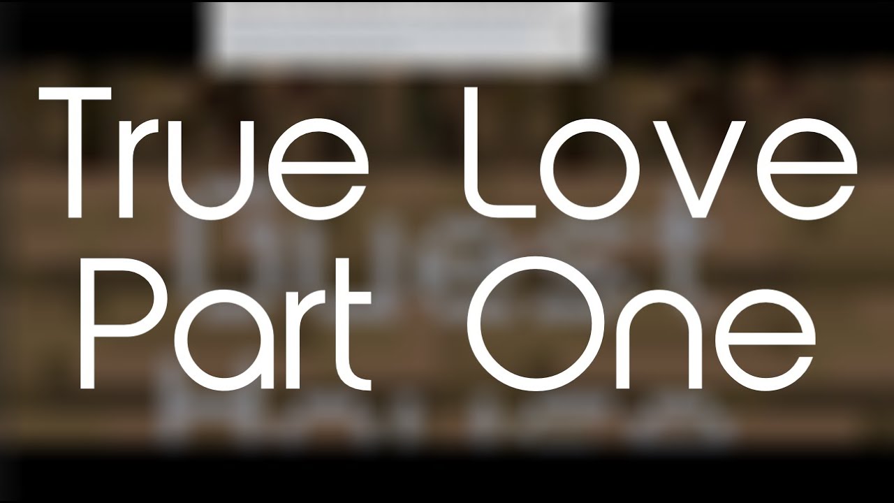 [PART 1] True Love (Minecraft Movie)