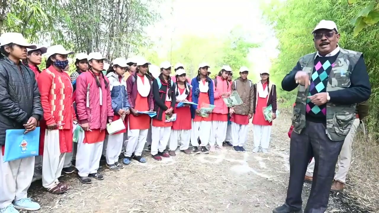 03 Futera Part 01A