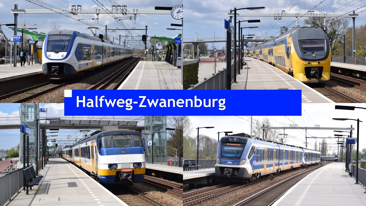 Treinen op station Halfweg Zwanenburg
