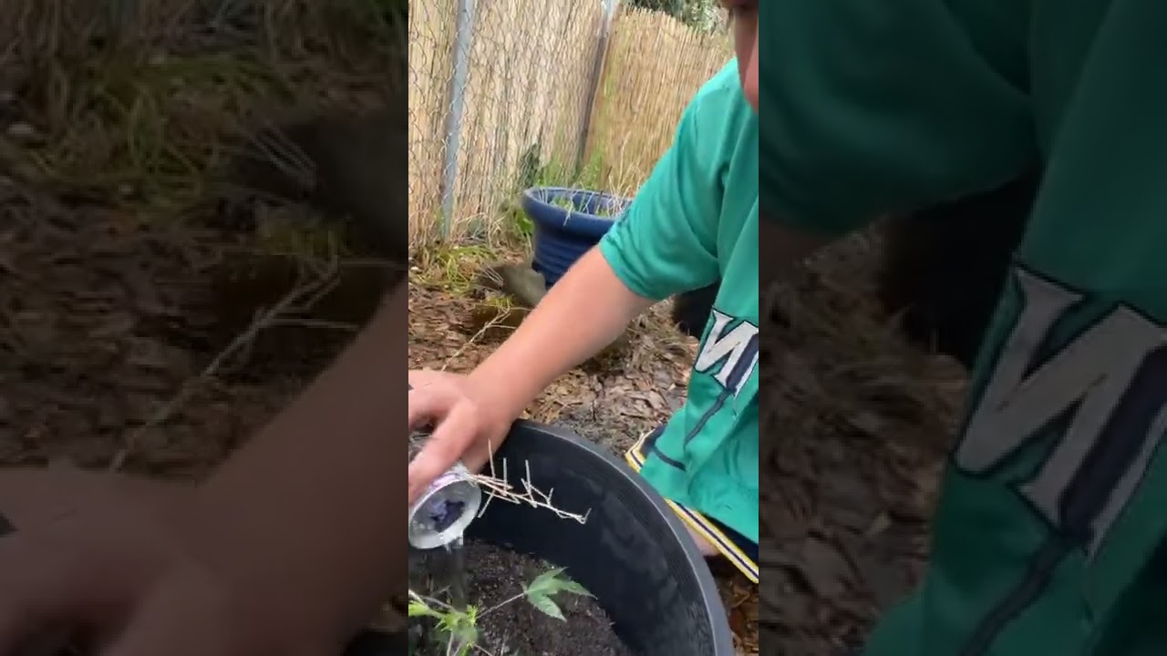 How to get weed to taste how you want it!