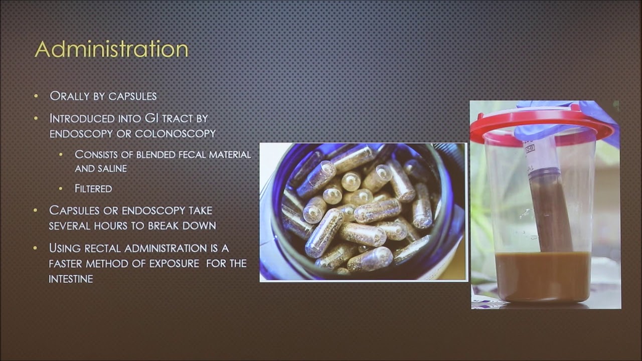 Fecal Microbiota Transplant (FMT) in Dogs