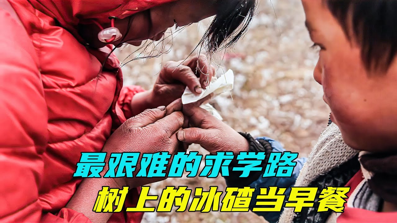 山區孩子上學的艱難過程，樹上的冰碴就是唯一的早餐，無數人落淚