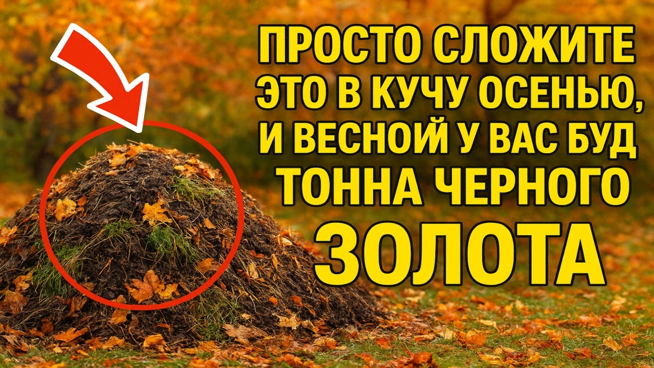 Просто сложите ЭТО в кучу осенью, и весной у вас будет тонна «черного золота». Ленивый способ компо