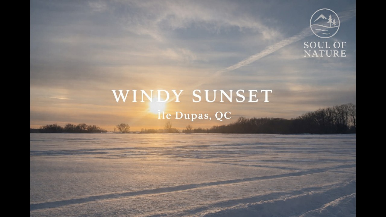 Windy Sunset at Île Dupas 🌅🌬️ Natural Wind Sounds for Relaxation