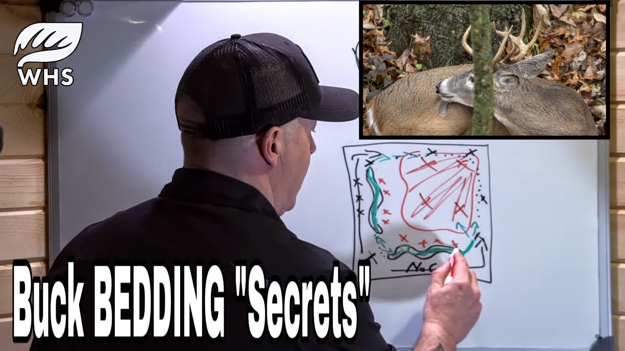 #1 Big Buck Bedding Strategy For Small Parcels