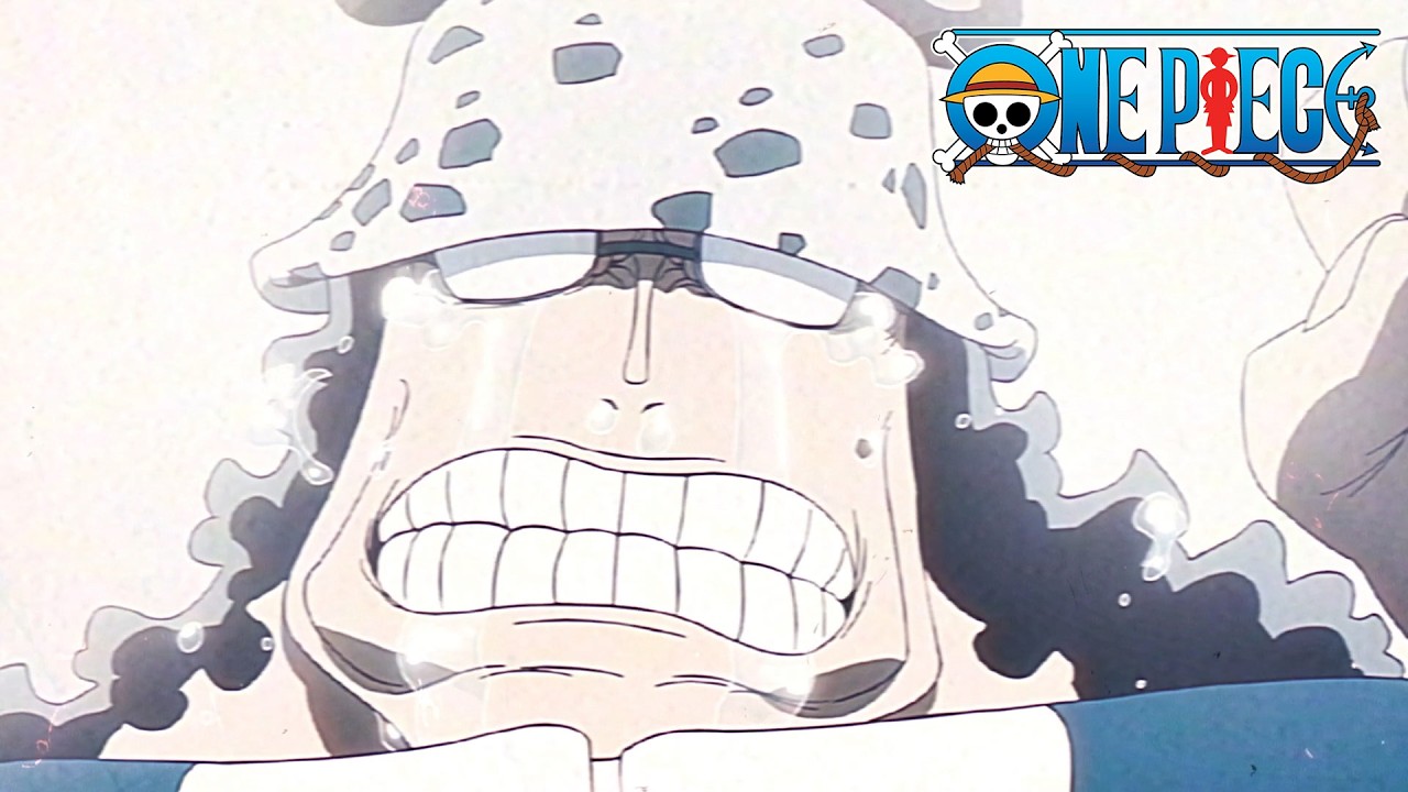 Kuma's Cherished Memories | ONE PIECE