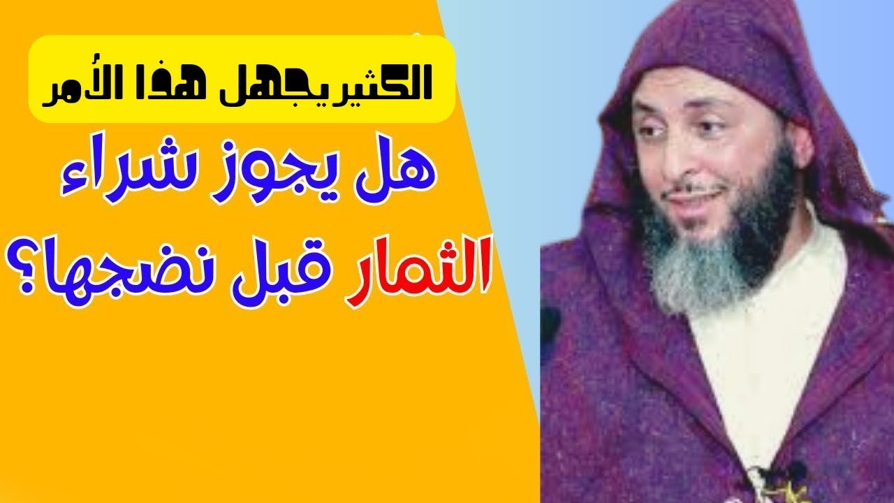 هل يجوز شراء الثمار قبل نضجها؟ I الشيخ سعيد الكملي