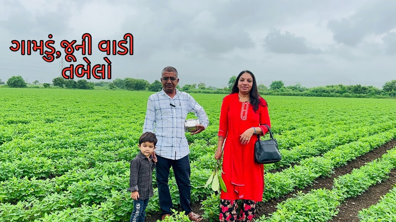 ગામડું, જૂની વાડી,ભેંસોનો તબેલો, ડ્રેગનફ્રુટ આવી ગયા.