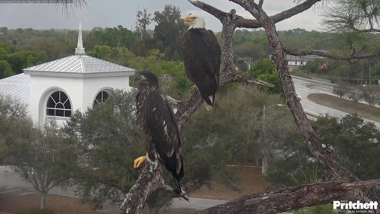 SWFL. E's 26 afternoon with Dad  😍 / 2026-03-13