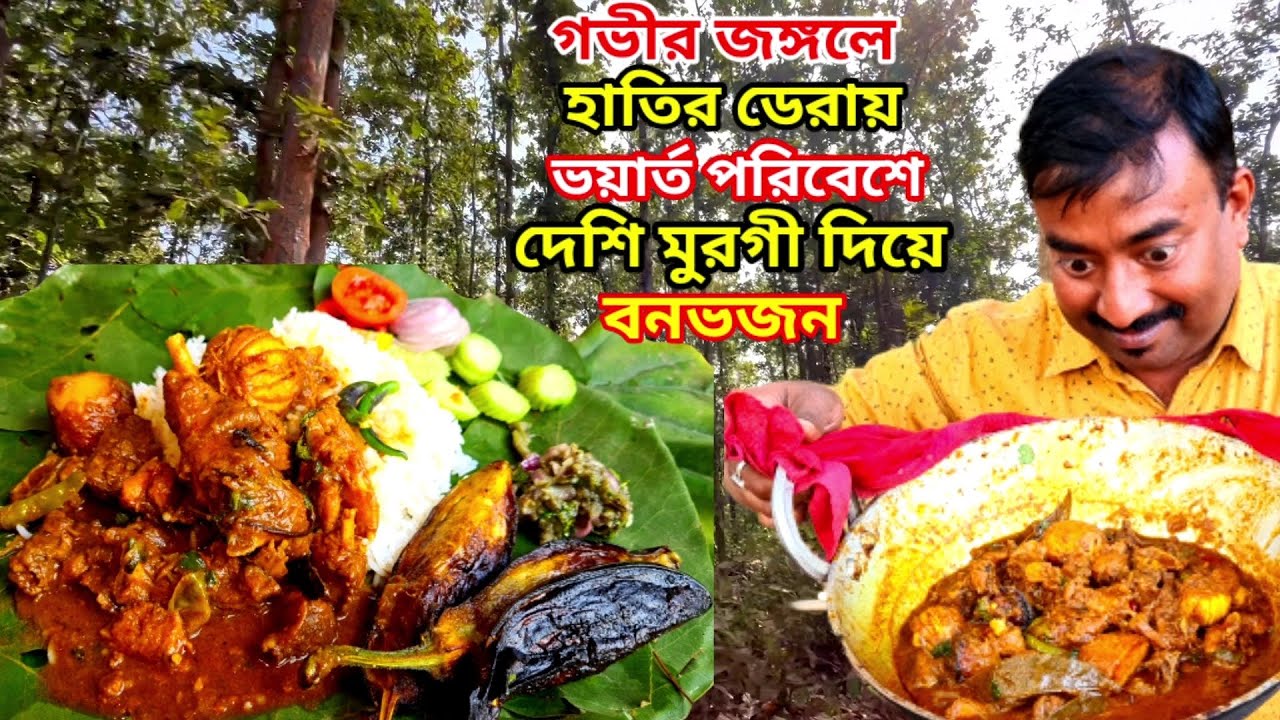 গভীর জঙ্গলে হাতির ডেরায় ভয়ে ভয়ে দেশি মুরগী রান্না করে, বেগুনপোড়া দিয়ে কাঁচা শালপাতায় বনভোজন করলাম |