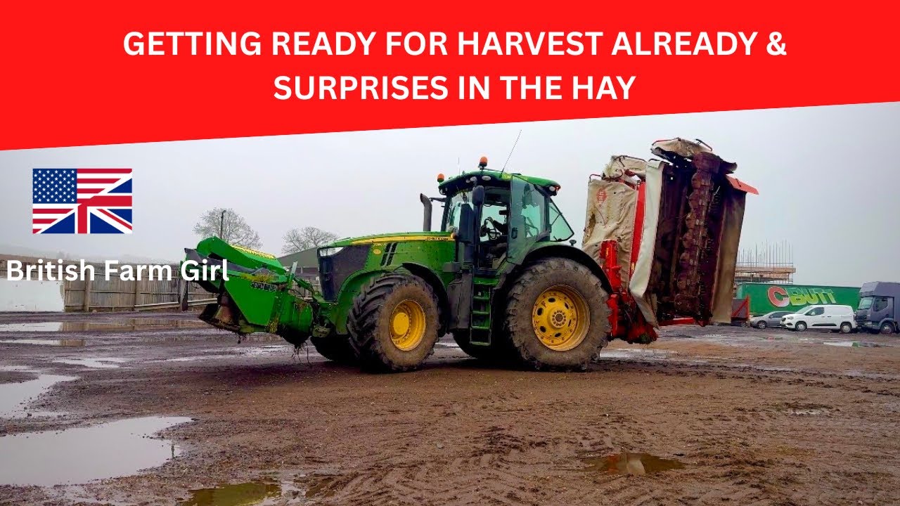 GETTING READY FOR HARVEST ALREADY & SURPRISE IN THE HAY !