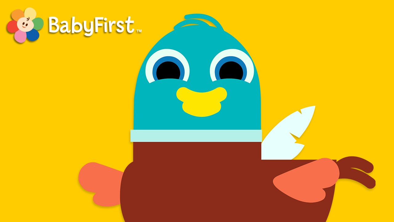 Six Little Ducks with Lyrics | Music Videos | BabyFirst TV