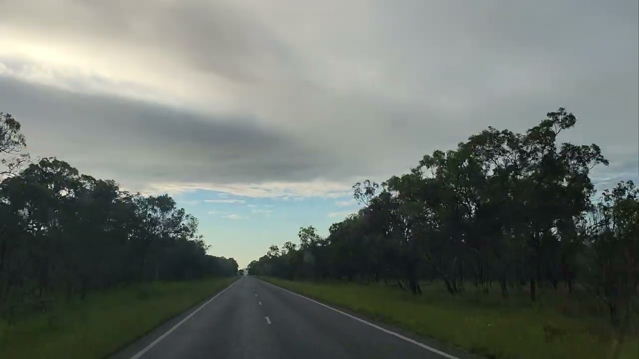 Driving into the day break. Must be aware for wildlife